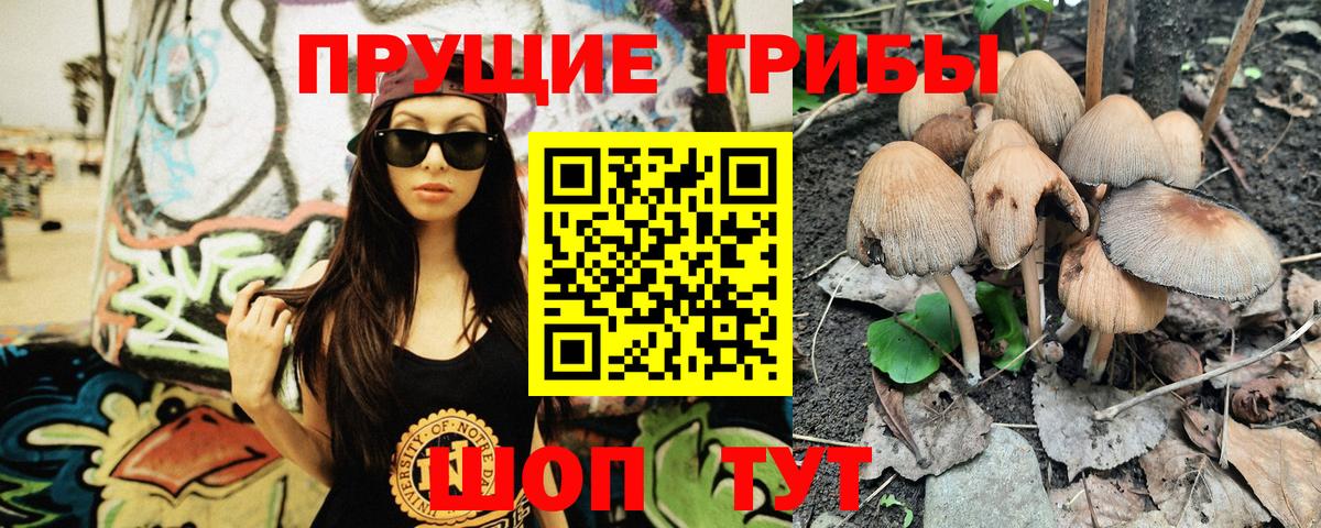 Протвино  Галлюциногенные грибы мицелий  Вход с VPN 